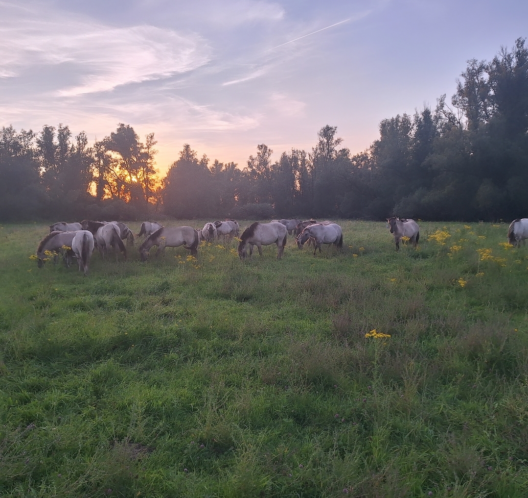 Screenshot_20240718_000126_Instagram