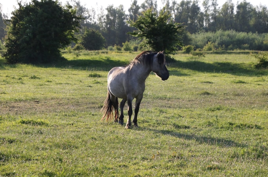 Screenshot_20250518_134926_WhatsApp