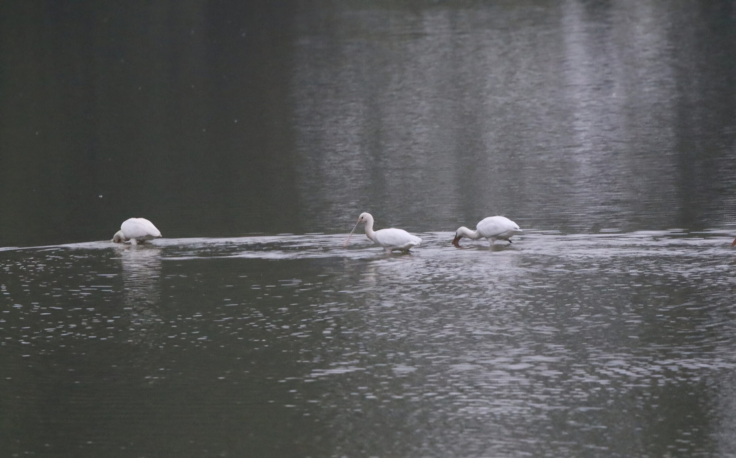 Screenshot_20250518_210335_Gallery