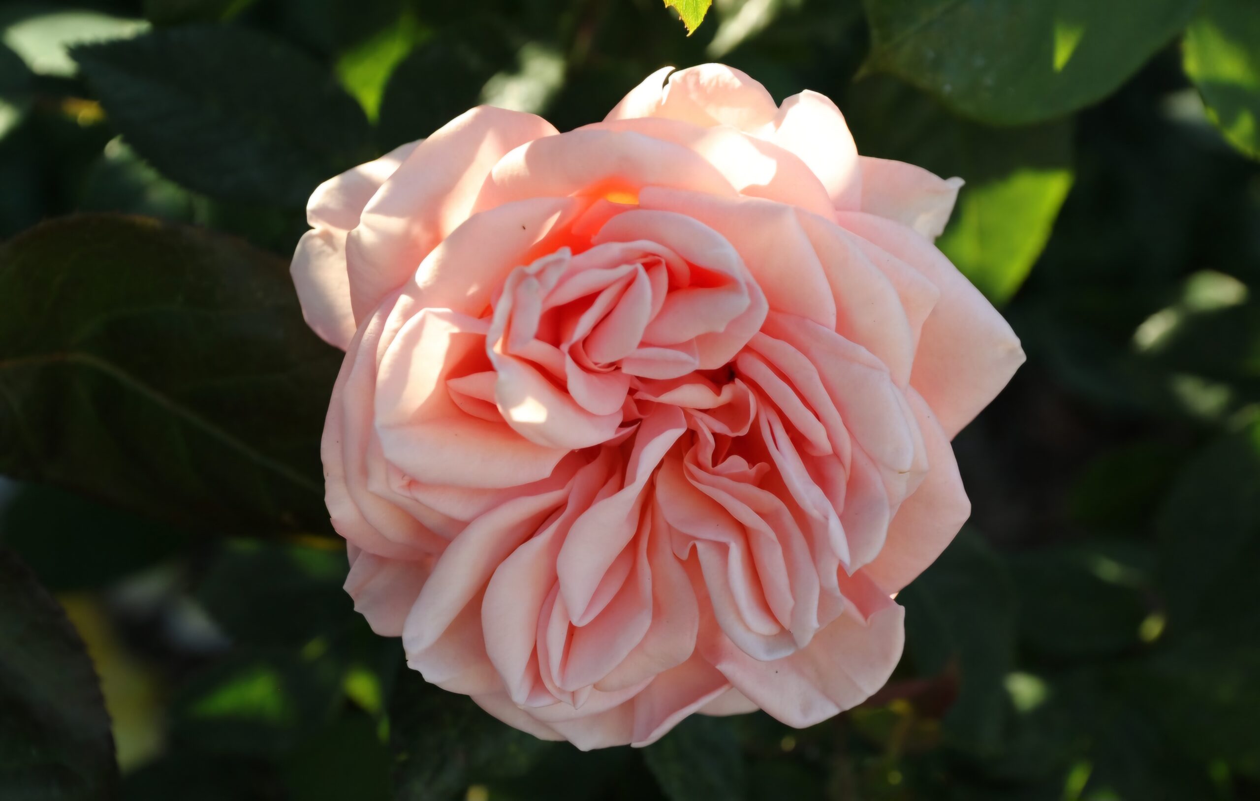 Screenshot_20250518_210559_Gallery