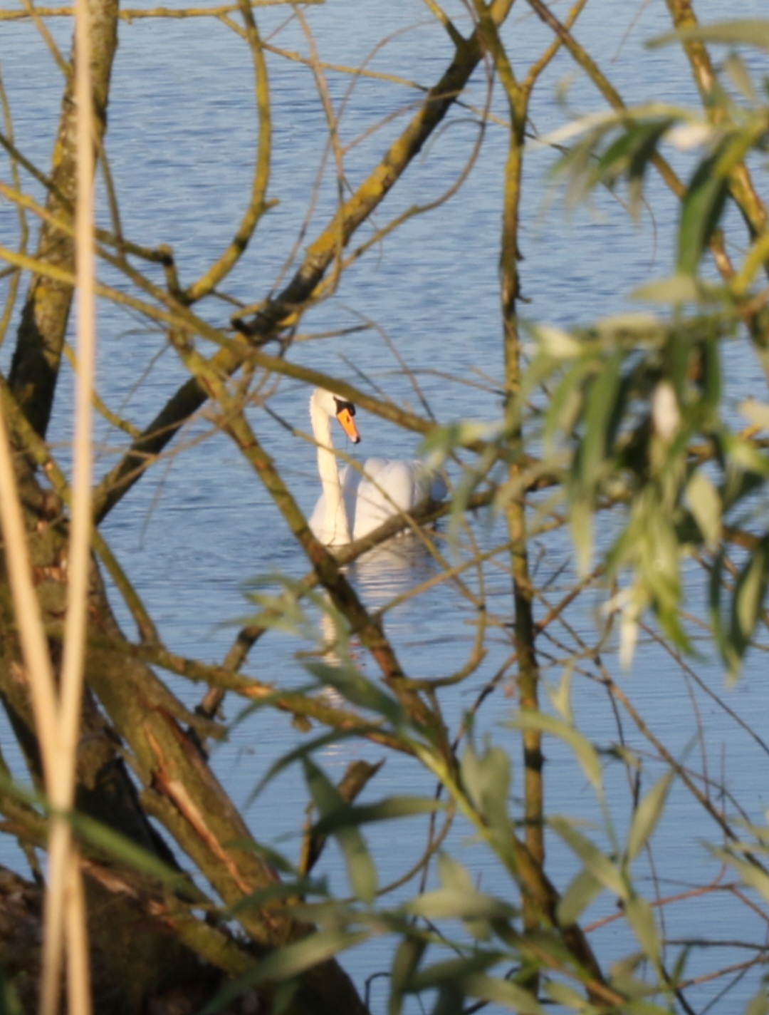 Screenshot_20250518_210709_Gallery